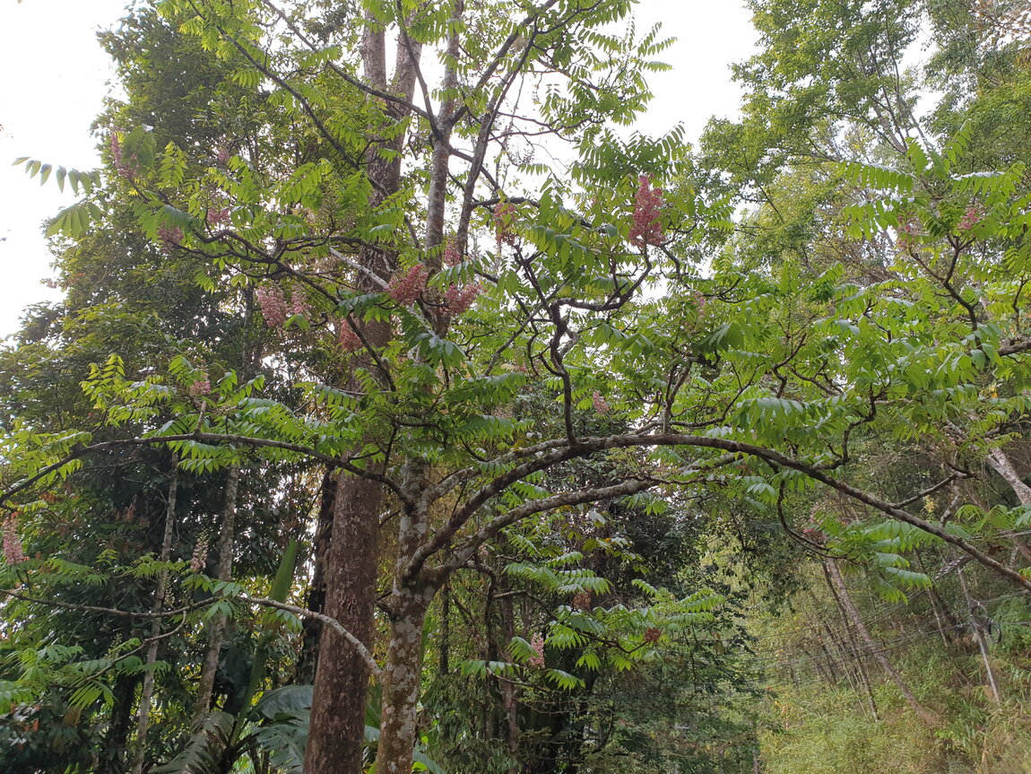 2021-03-03 15.47.44.jpg