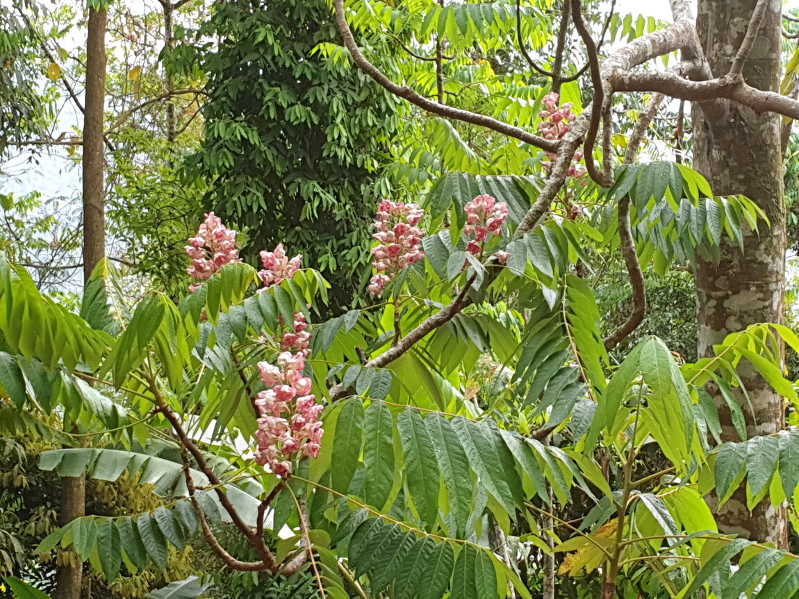 2021-03-03 15.48.22.jpg