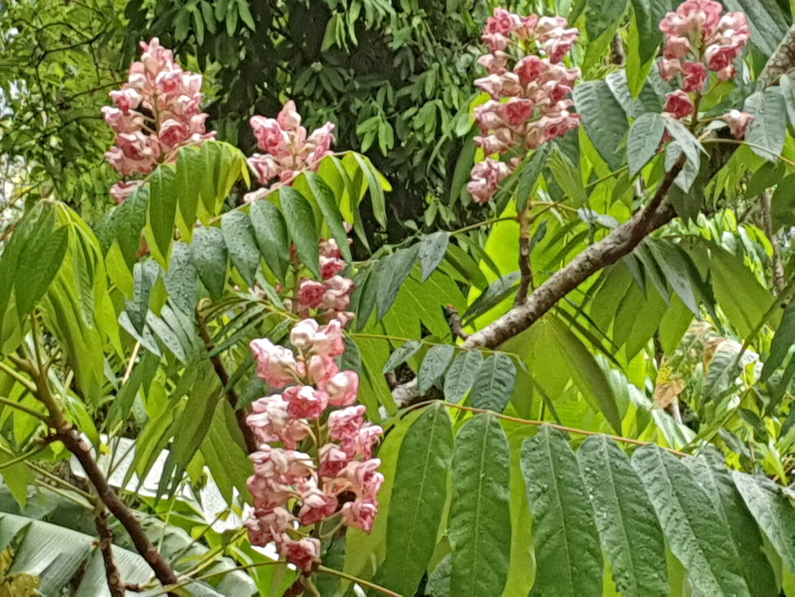 2021-03-03 15.48.36.jpg