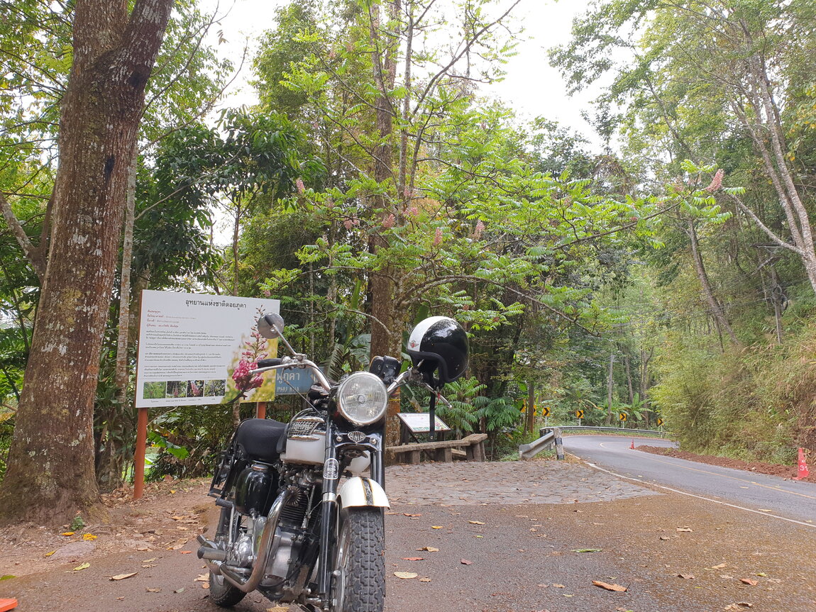 2021-03-03 15.55.39.jpg