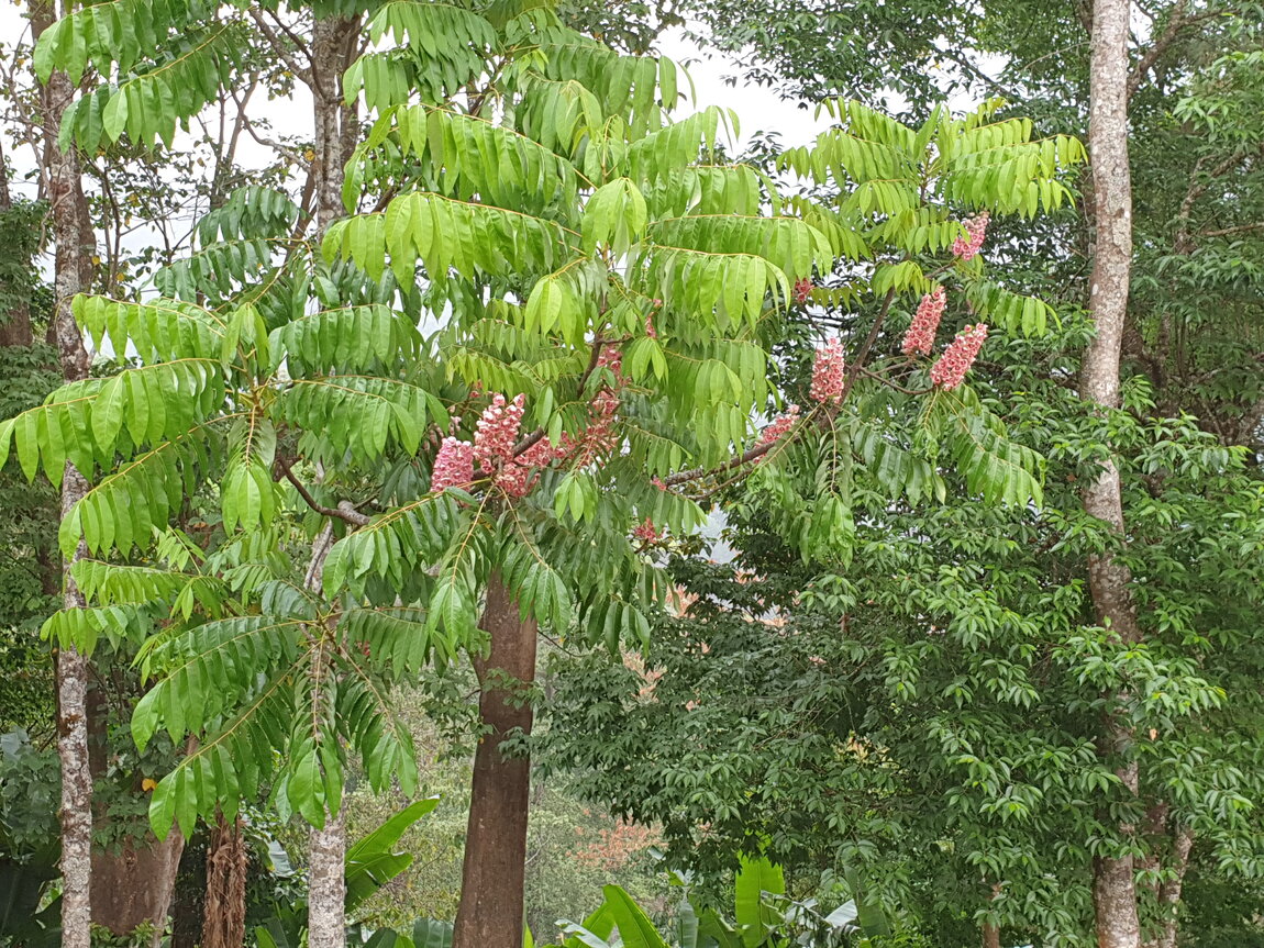 2021-03-03 16.09.27.jpg