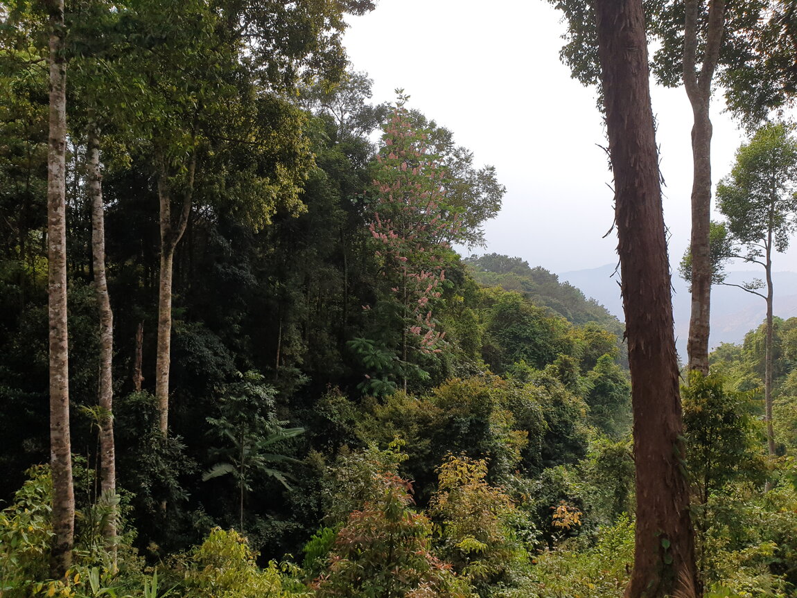 2021-03-03 16.44.50.jpg