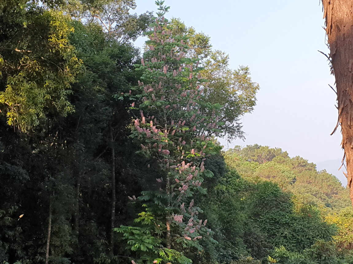 2021-03-04 08.29.31.jpg