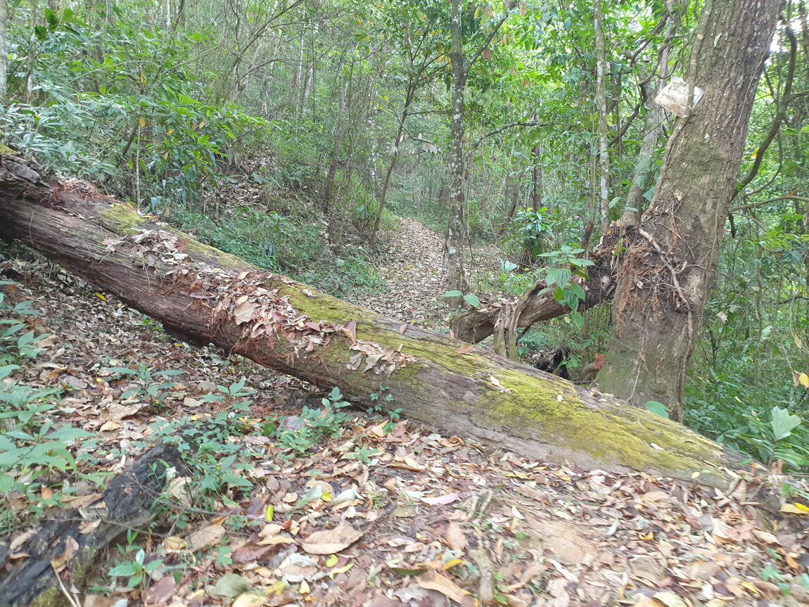 2021-03-04 08.46.15.jpg