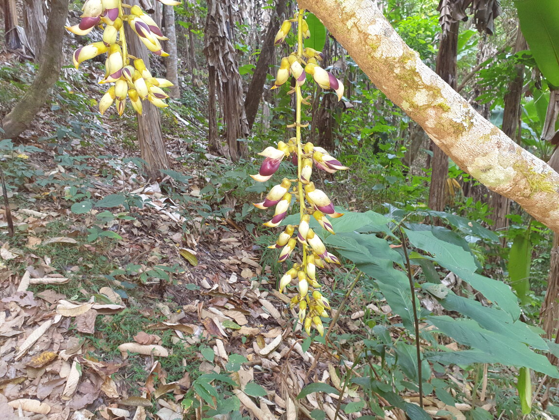 2021-03-04 08.51.54.jpg