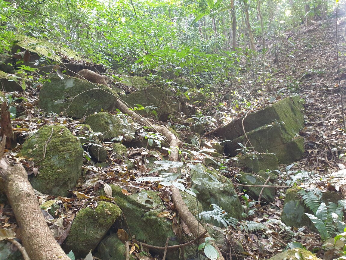 2021-03-04 09.27.51.jpg