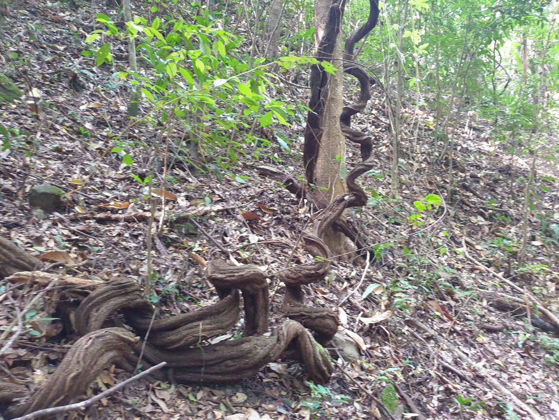 2021-03-04 09.28.33.jpg