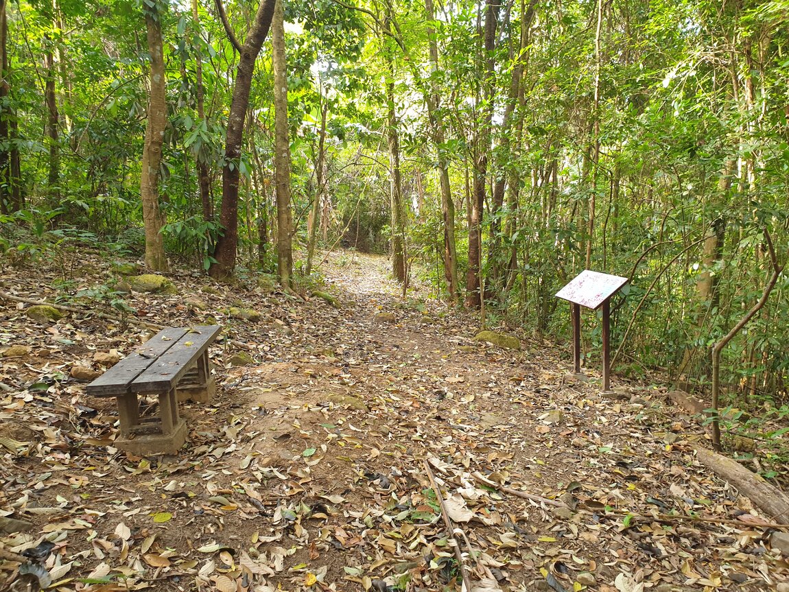 2021-03-04 09.35.50.jpg