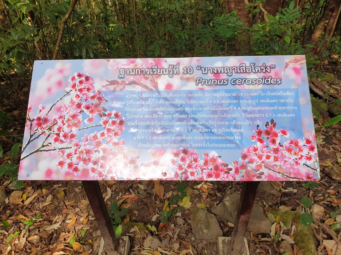 2021-03-04 09.36.04.jpg