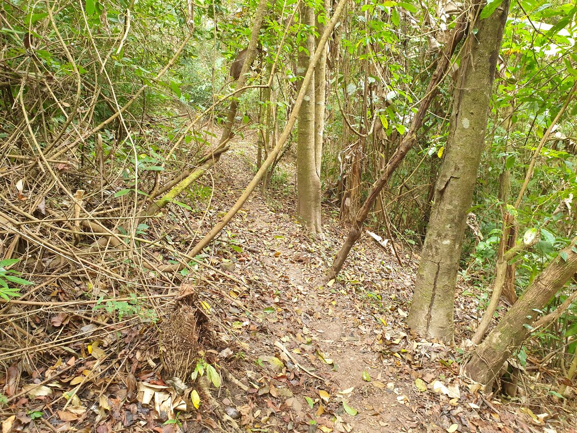 2021-03-04 09.37.21.jpg