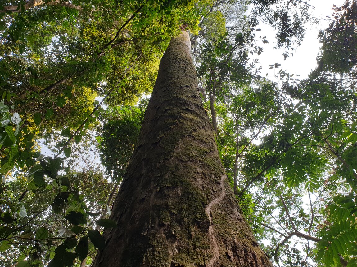 2021-03-04 09.47.50.jpg