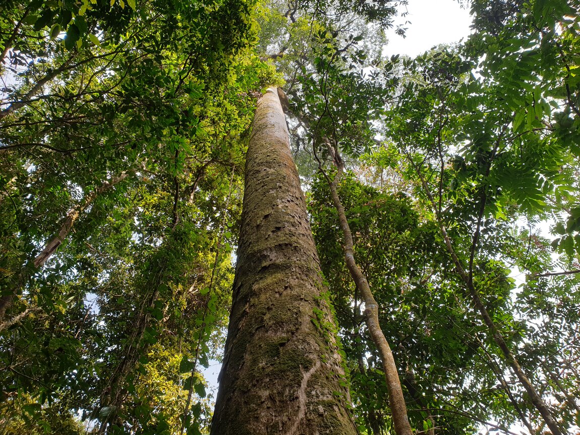 2021-03-04 09.48.41.jpg