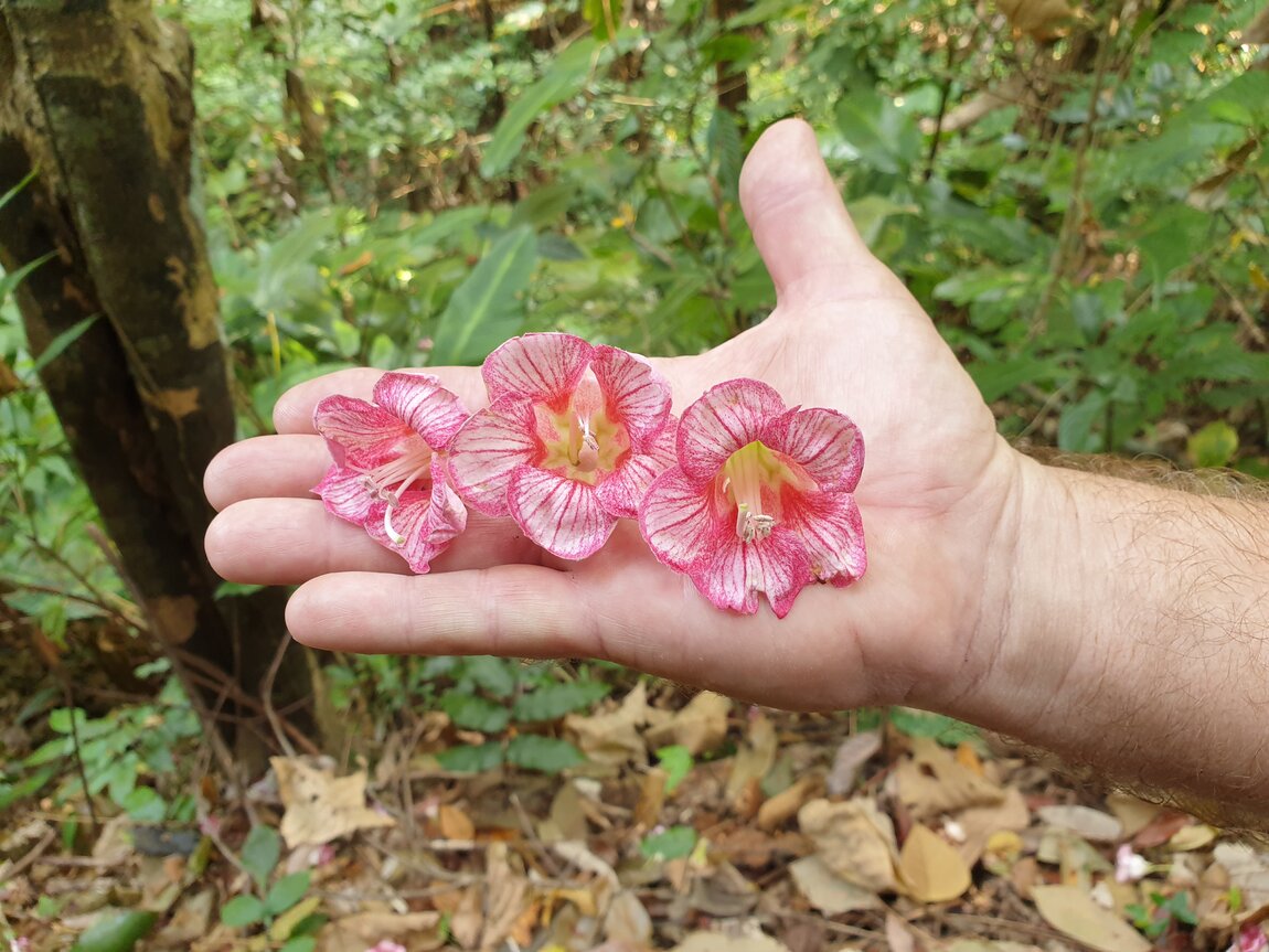 2021-03-04 10.00.18.jpg