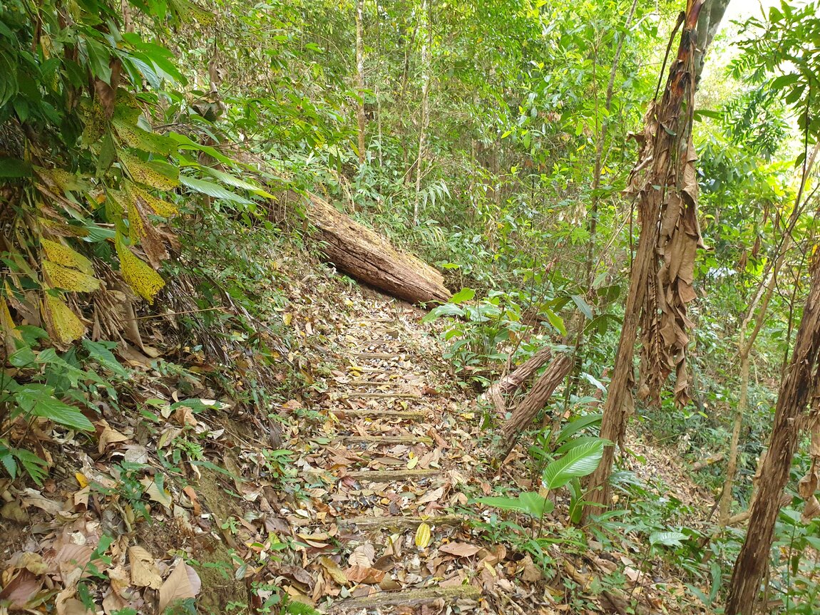 2021-03-04 10.02.40.jpg