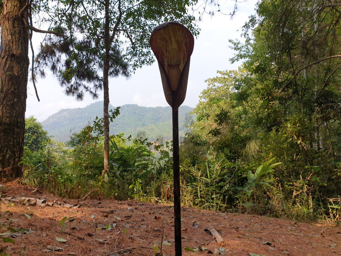 2021-03-04 10.11.39.jpg