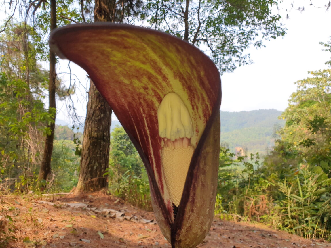 2021-03-04 10.12.02.jpg