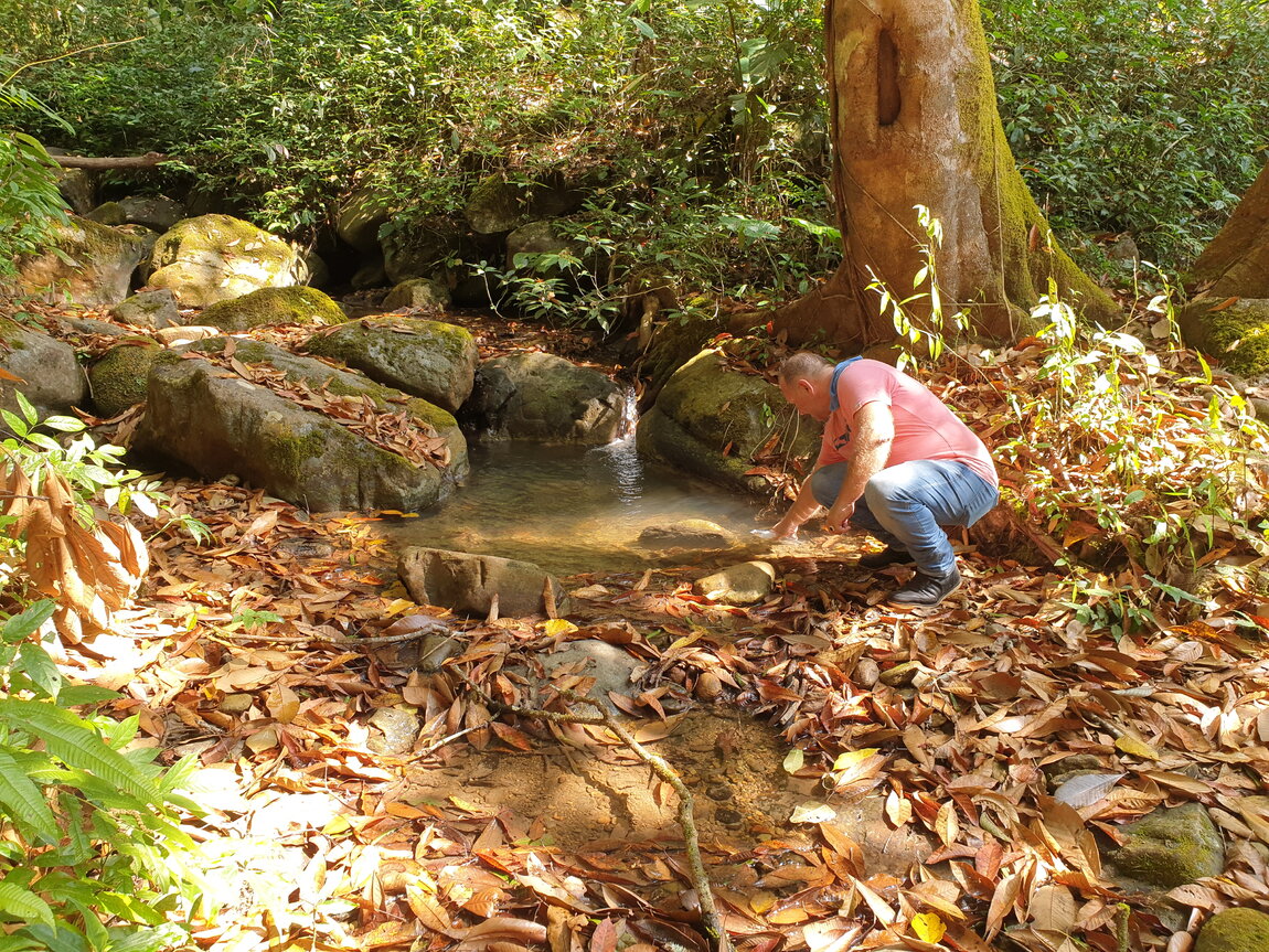 2021-03-04 10.29.35.jpg