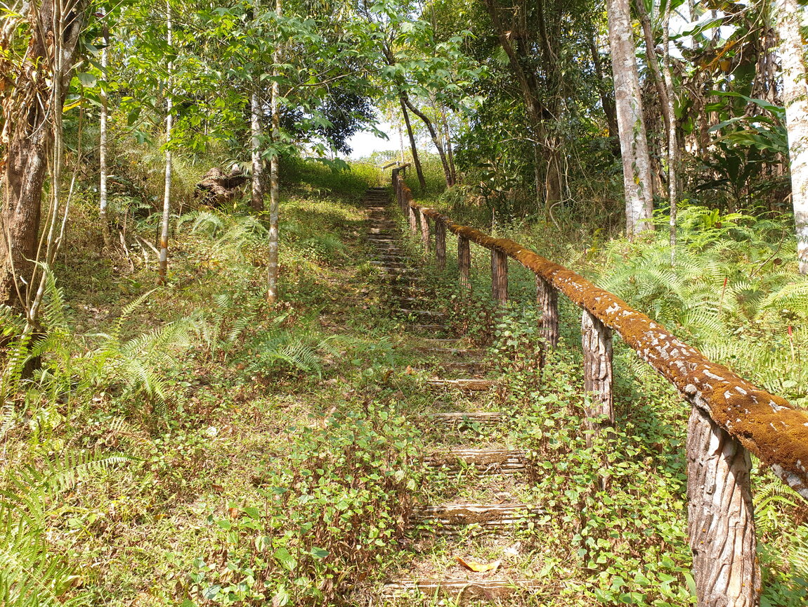 2021-03-04 10.32.13.jpg