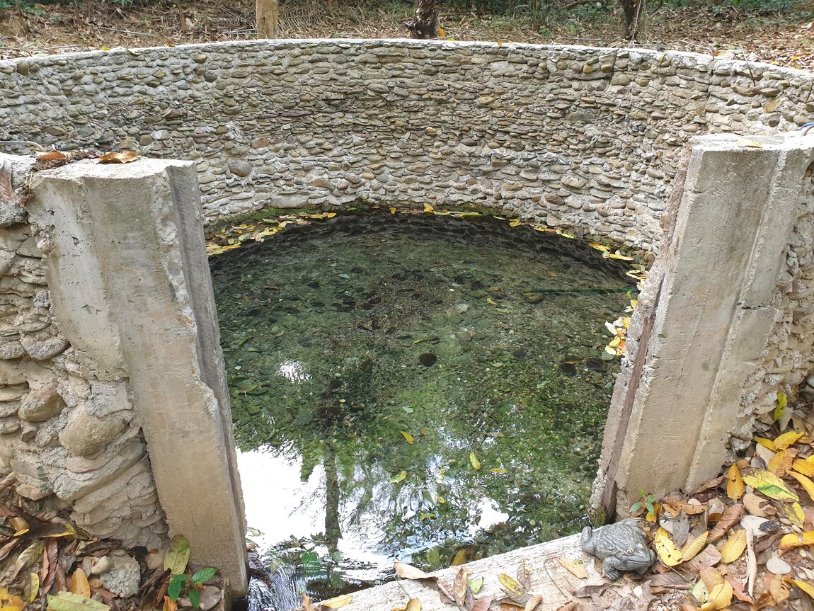 2021-03-04 14.42.38.jpg