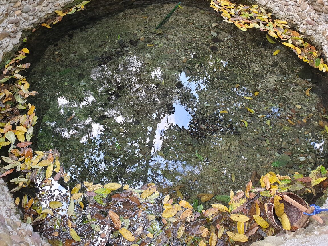 2021-03-04 14.42.57.jpg