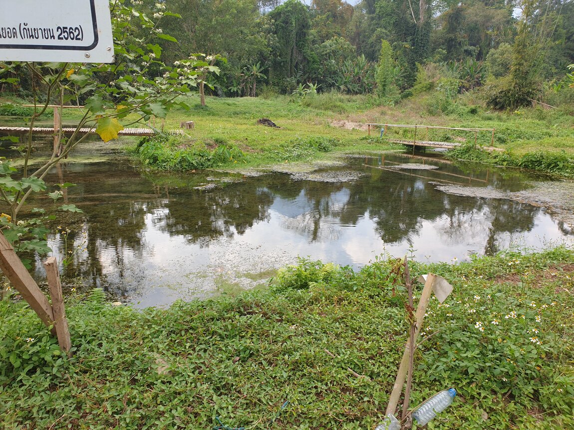 2021-03-04 14.46.37.jpg