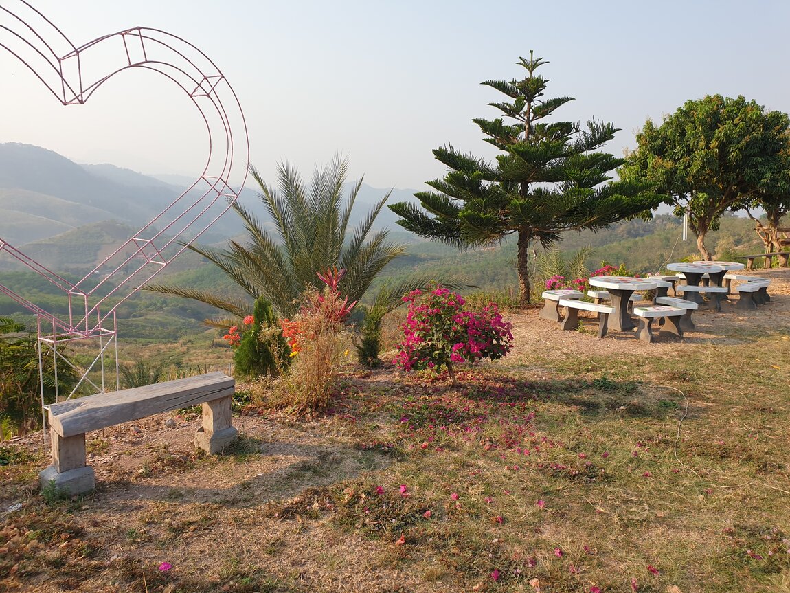 2021-03-05 08.15.40.jpg