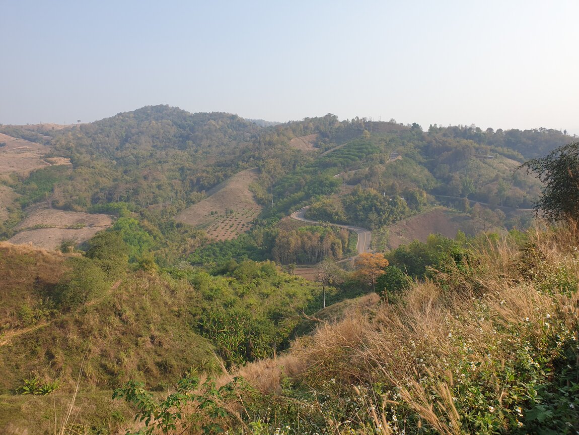 2021-03-05 08.40.48.jpg