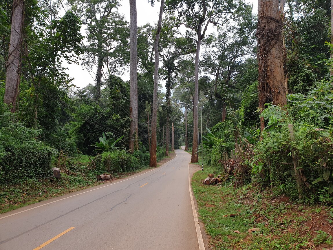 2021-11-11 07.44.57.jpg