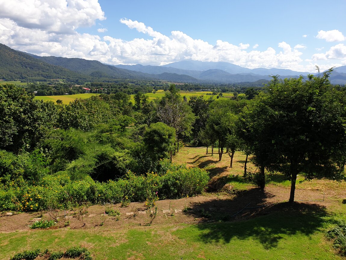 2021-11-11 12.24.39.jpg