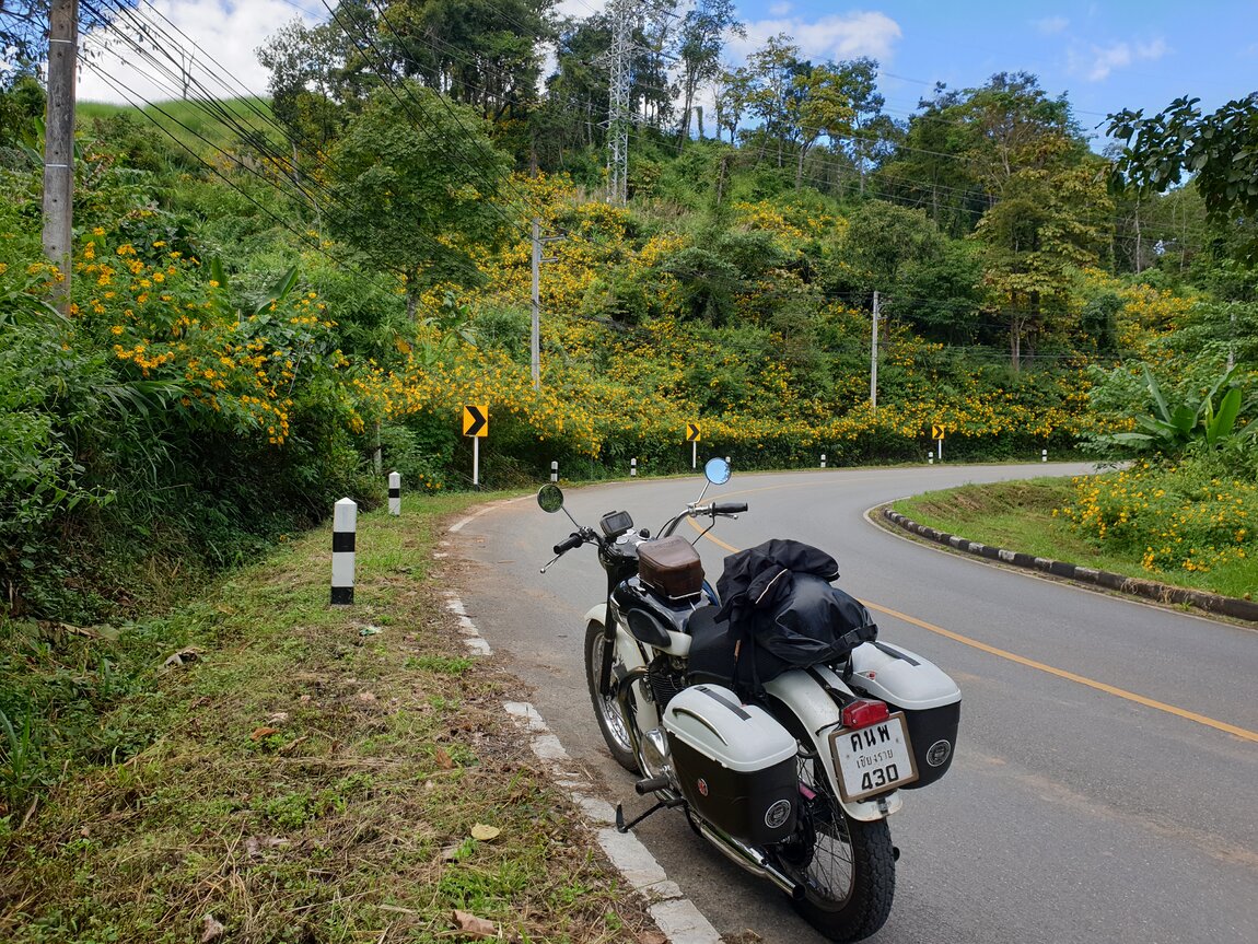 2021-11-11 12.54.51.jpg