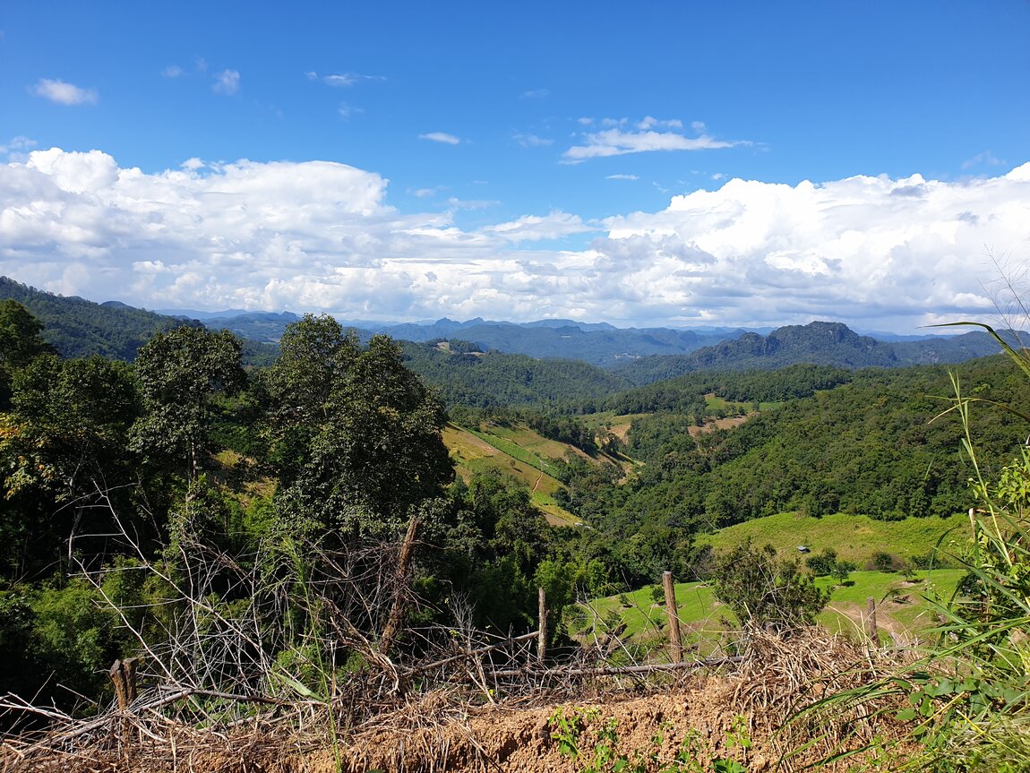 2021-11-11 13.15.16.jpg