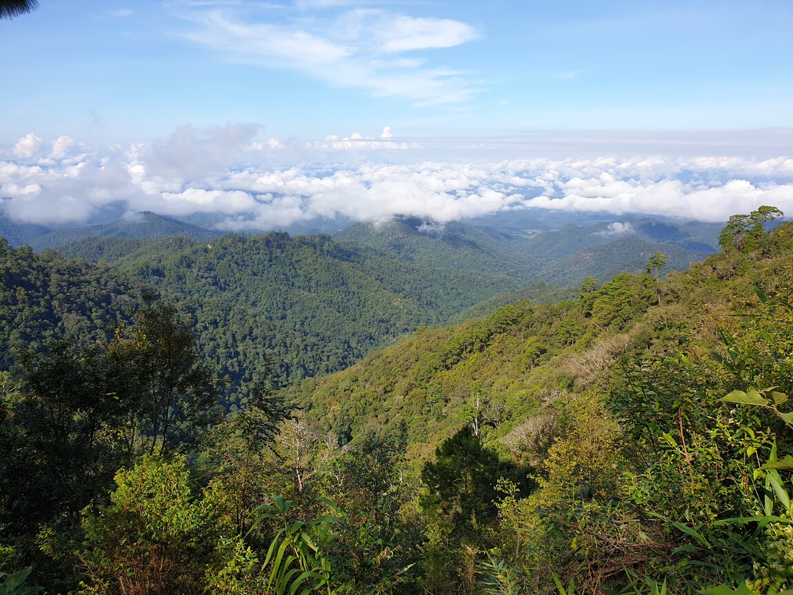 2021-11-12 09.32.23.jpg