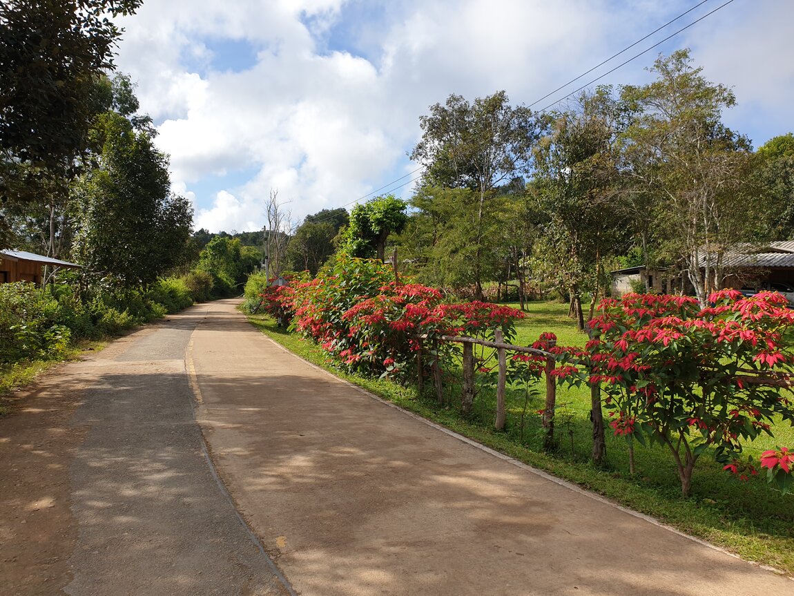 2021-11-12 10.03.22.jpg