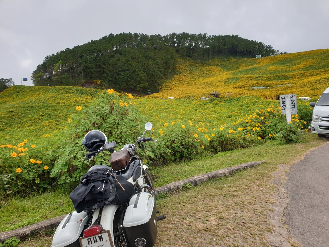 2021-11-12 11.01.25.jpg