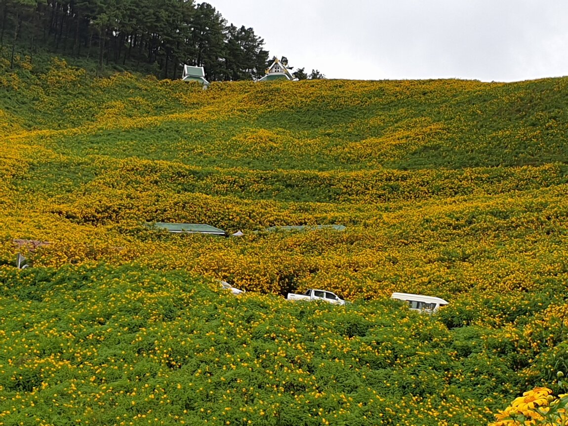 2021-11-12 11.07.11.jpg