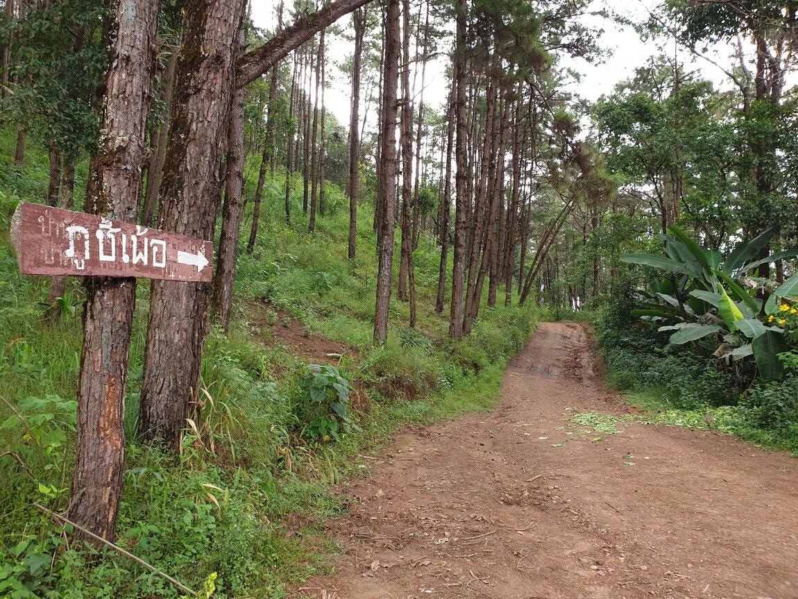 2021-11-12 11.21.53.jpg