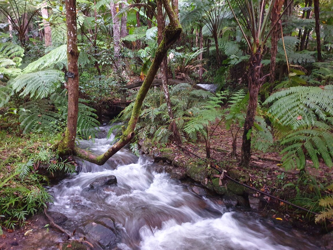 2021-11-13 06.44.02.jpg