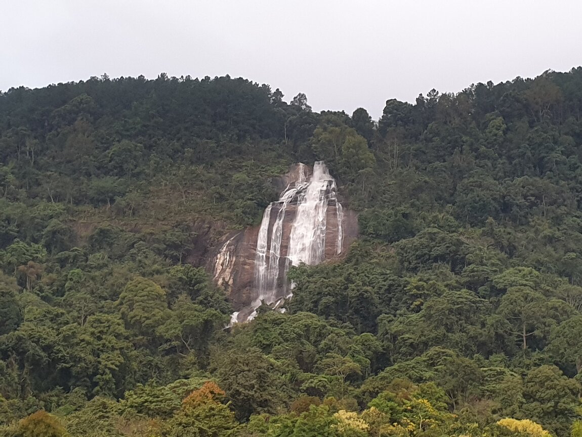 2021-11-13 06.48.48.jpg