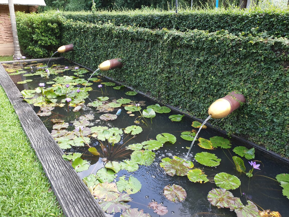 2021-11-13 11.13.36.jpg