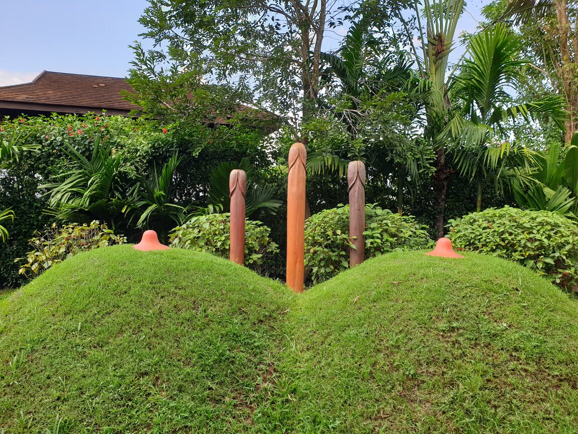 2021-11-13 11.16.46.jpg