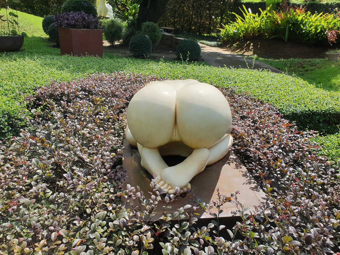 2021-11-13 11.18.56.jpg