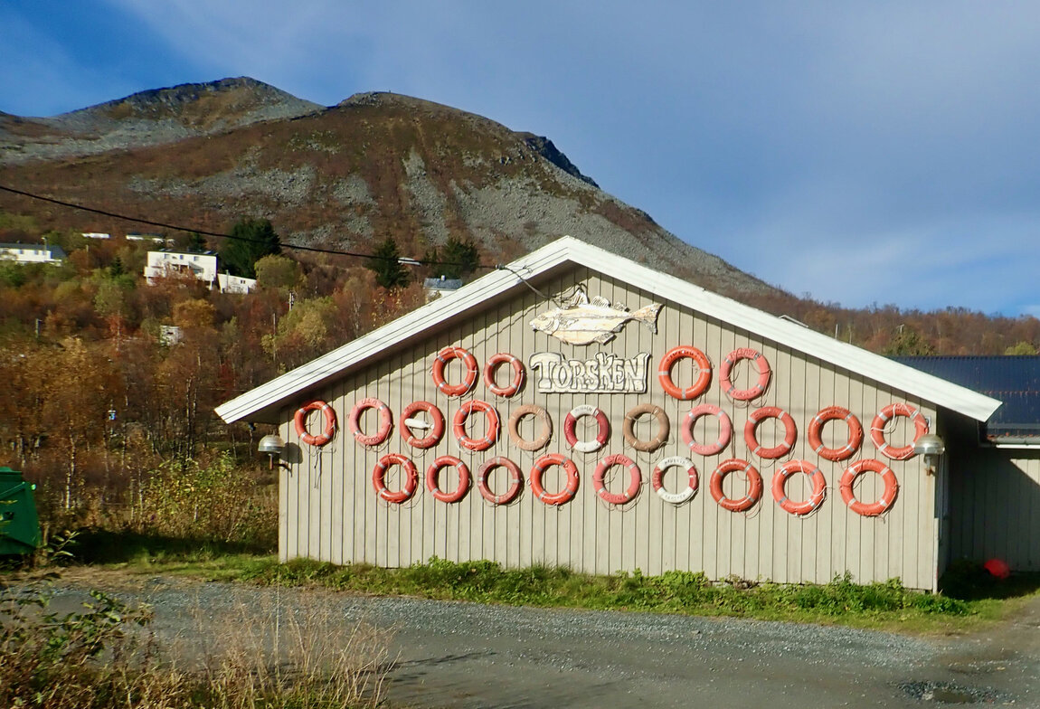 2021 Northeren Norway - 7.jpeg 2021 Northeren Norway - 7.jpeg