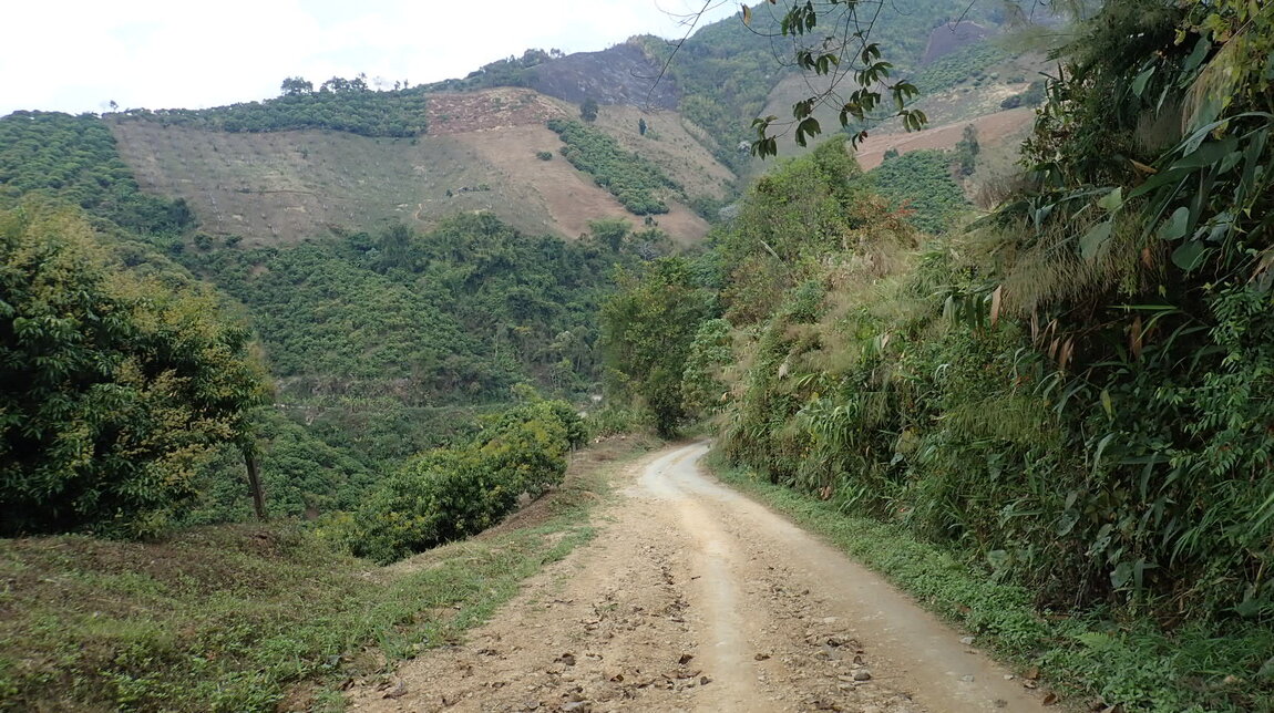 2022-02-16 13.18.12.JPG