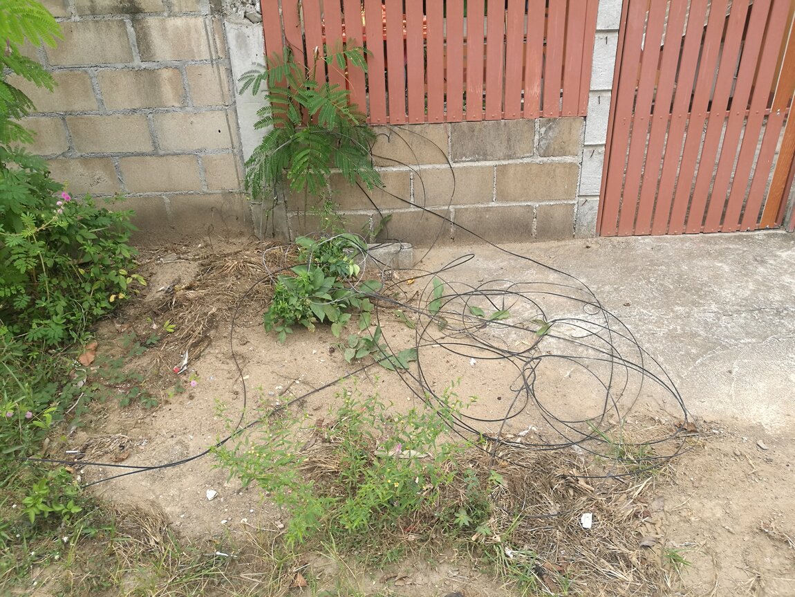 2022-11-24 11.41.24.jpg