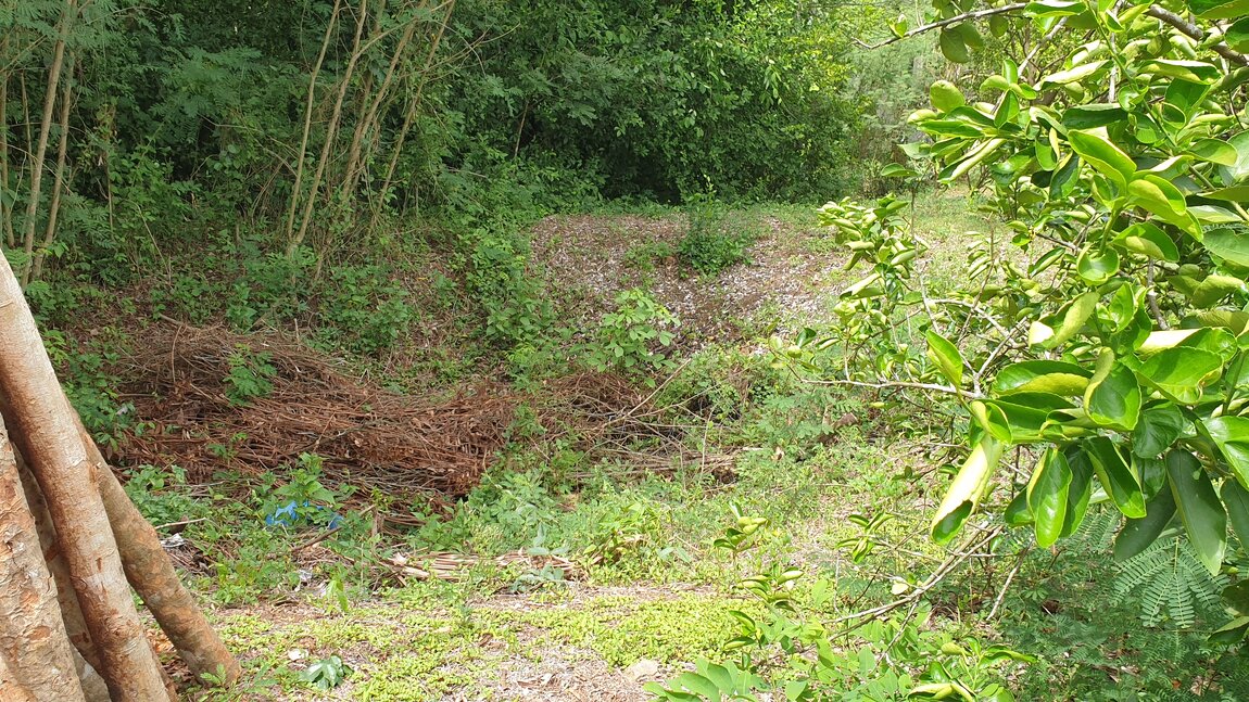 2023-06-06 10.20.59.jpg