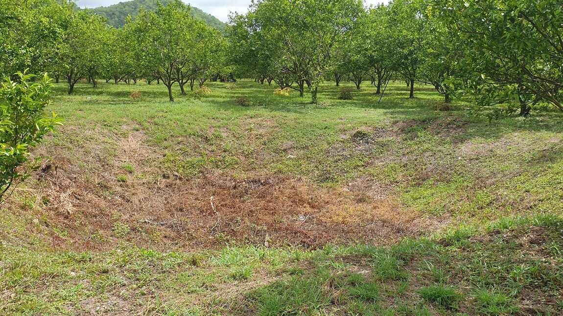 2023-06-06 10.21.31.jpg