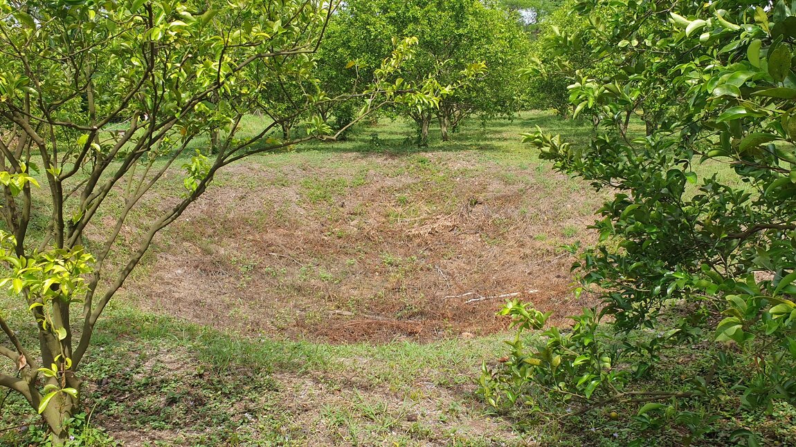 2023-06-06 10.22.04.jpg