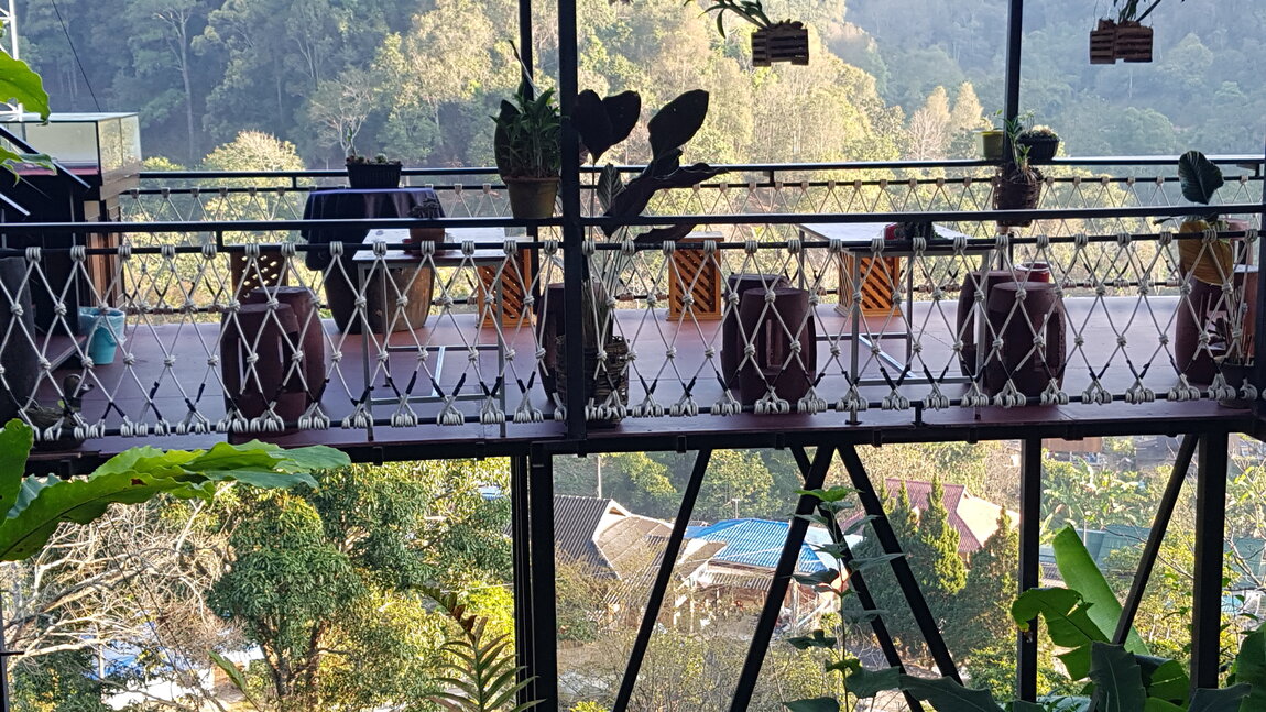 20230131_075937.jpg