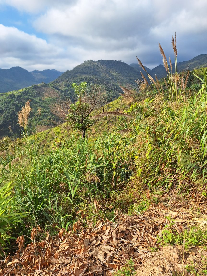 20240119_092027.jpg 20240119_092027.jpg