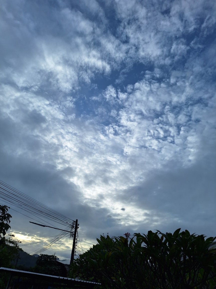 20250730_065511.jpg